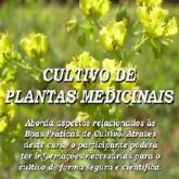 Curso Cultivo de Plantas Medicinais